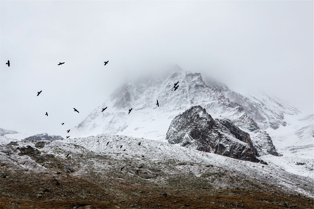 Snowy Mountains